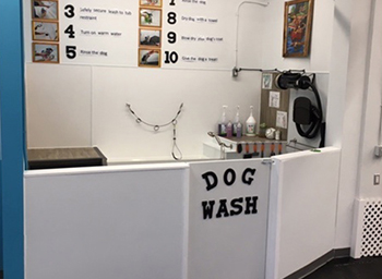 Self-service wash station